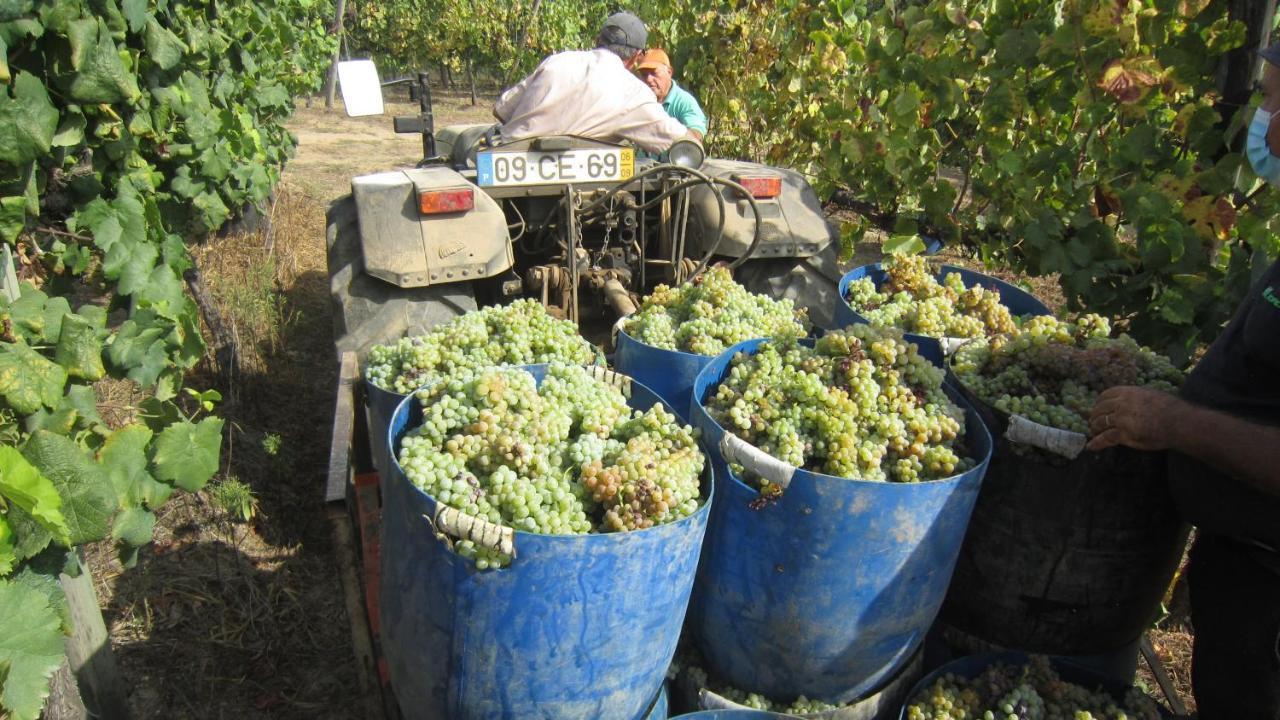 帕克德庞柏尔 - 特瑞斯茂德贺佩尔卡酒店 费尔格拉斯 外观 照片